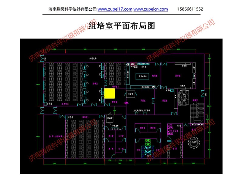国产麻豆91免费观看室