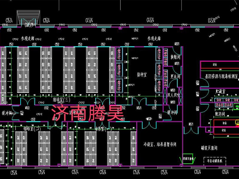国产麻豆91免费观看  国产麻豆91免费观看室