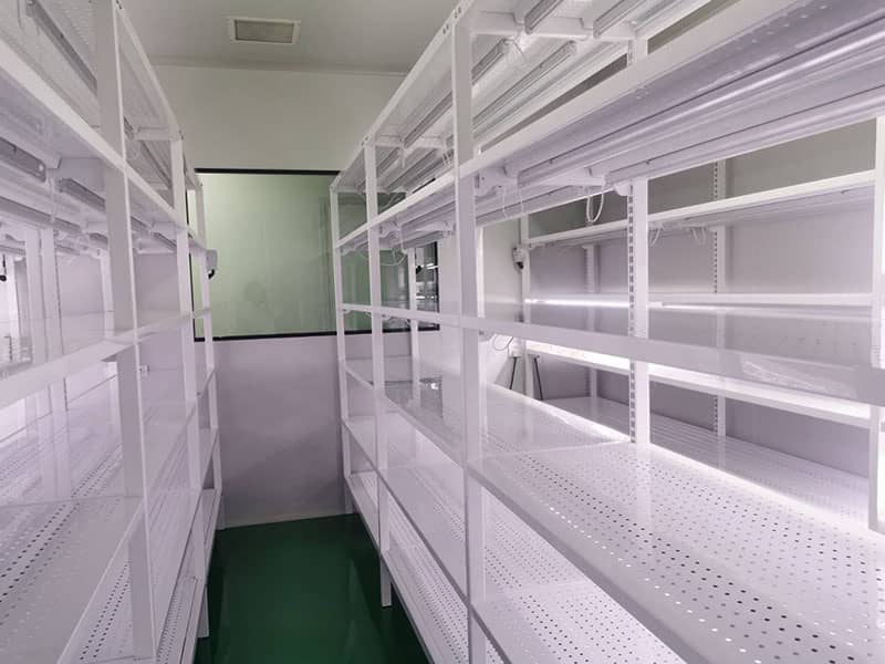 国产麻豆91免费观看  国产麻豆91免费观看架